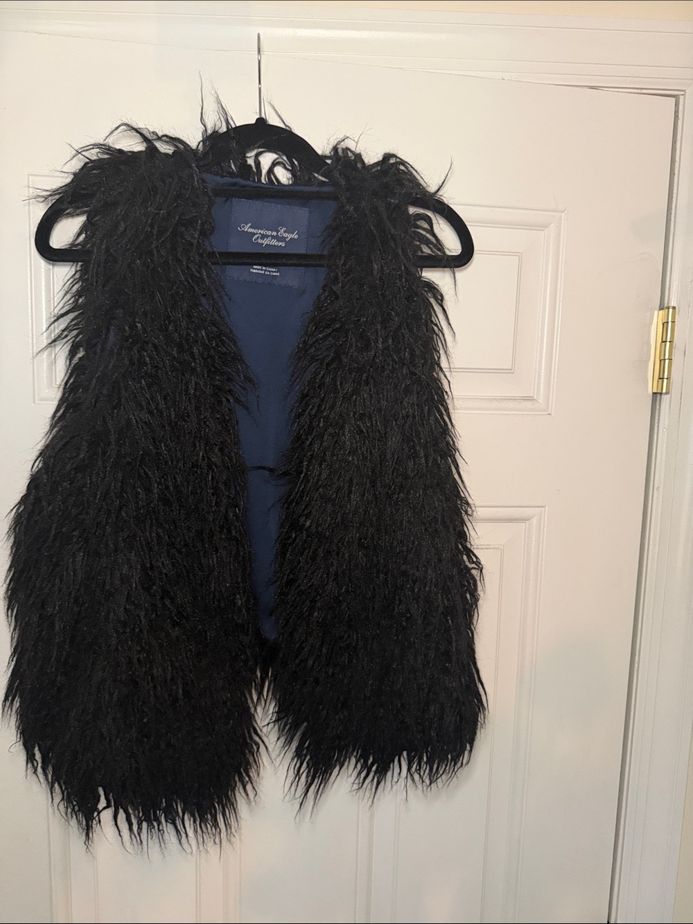 American Eagle Outfitters Black Faux Fur Teddy Vest